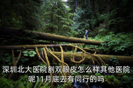 深圳北大雙眼皮，深圳北大醫院的埋線雙眼皮價格是多少啊