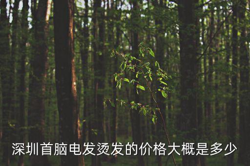 深圳燙頭發(fā)，深圳白石洲這里那一家做頭發(fā)做的好一點(diǎn)啊價(jià)格不要太貴我想燙頭