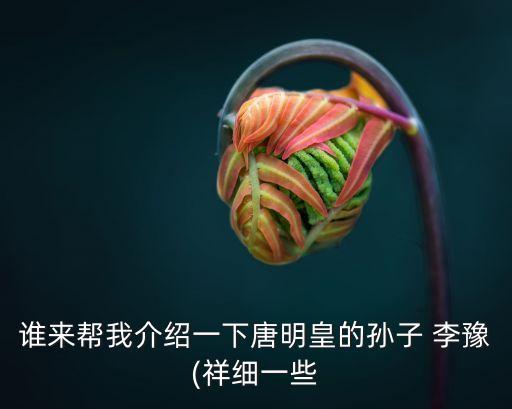 唐代宗李豫簡(jiǎn)介,唐代宗李豫是怎樣一位皇帝?