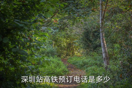 深圳高鐵站咨詢電話，深 圳 高 鐵 訂 票 電 話 是 多 少