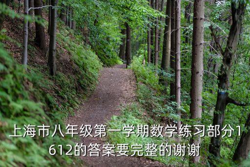 上海市八年級第一學期數學練習部分1612的答案要完整的謝謝