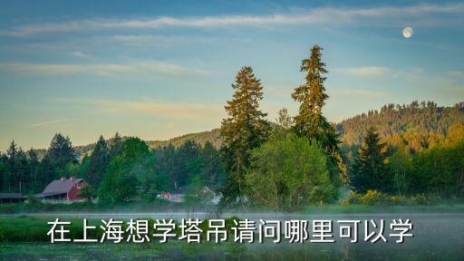 上海市起重機操作證哪里學，上海哪里有學汽車吊操作證的