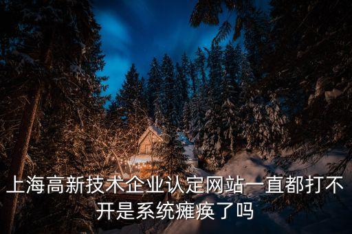 上海高新技術(shù)企業(yè)認(rèn)定網(wǎng)站一直都打不開(kāi)是系統(tǒng)癱瘓了嗎