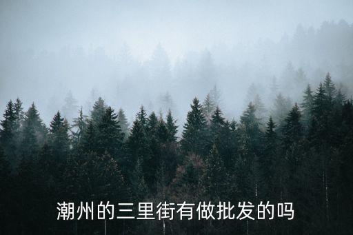 潮州的三里街有做批發(fā)的嗎