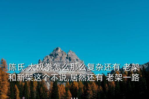 陳氏 太極拳怎么那么復雜還有 老架和新架這個不說,居然還有 老架一路...