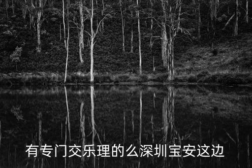 有專門交樂理的么深圳寶安這邊