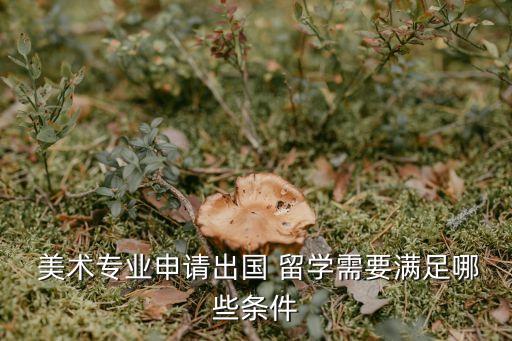  美術專業申請出國 留學需要滿足哪些條件