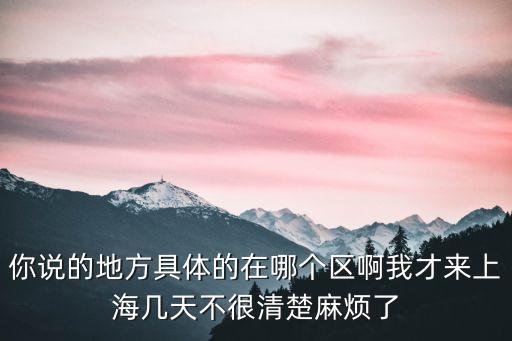 你說的地方具體的在哪個區啊我才來上海幾天不很清楚麻煩了