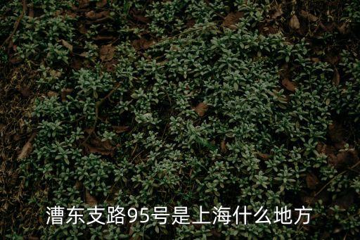 上海市漕東支路95號，我的位置是上中西路想到徐匯區職業高級中學漕東支路95號做幾路