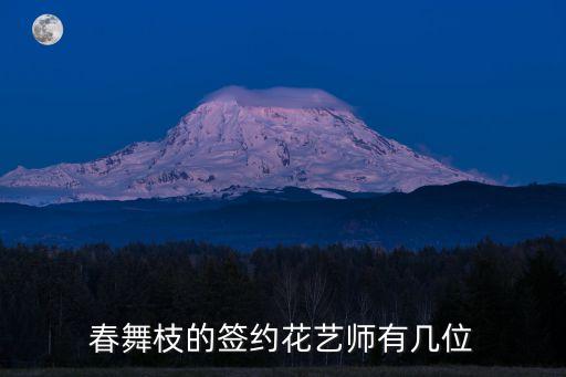 上海市插花協會魏俊超，春舞枝的簽約花藝師有幾位