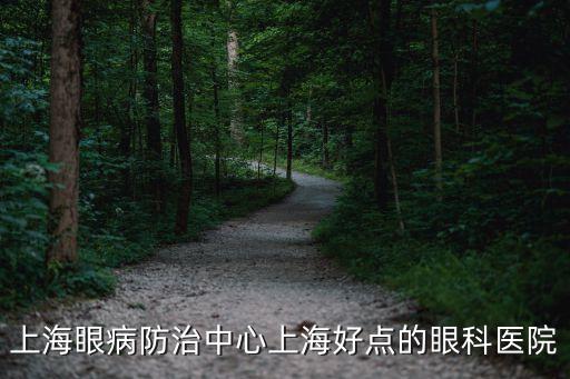 上海市眼病防治中心病床，上海眼病防治中心上海好點的眼科醫(yī)院