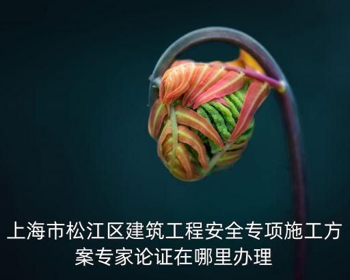 上海市橋梁抗震專項論證，上海市抗震辦在哪