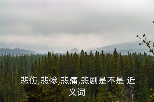  悲傷,悲慘,悲痛,悲劇是不是 近義詞