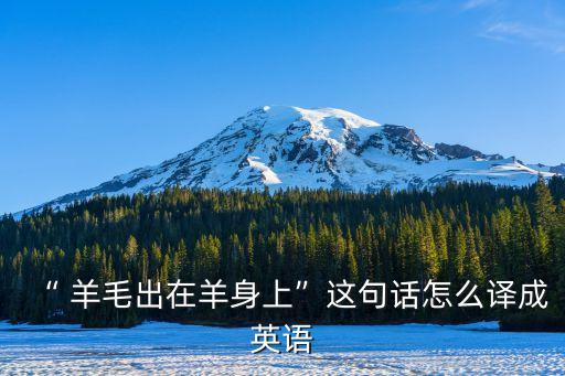 羊毛的英文,羊毛衫英文怎么拼?