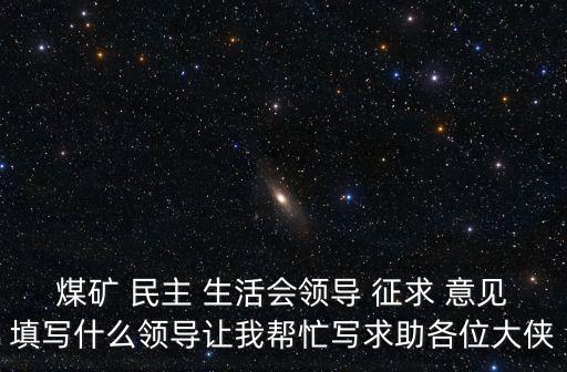 民主生活會征求意見,對個人意見建議100條