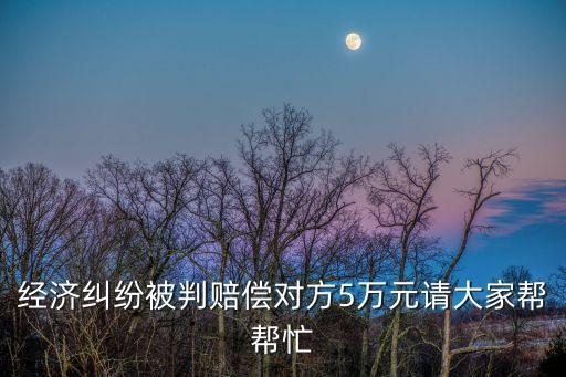 經濟糾紛被判賠償對方5萬元請大家幫幫忙
