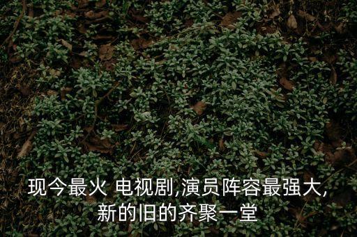 現今最火 電視劇,演員陣容最強大,新的舊的齊聚一堂