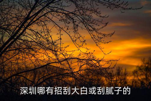 深圳哪有招刮大白或刮膩子的