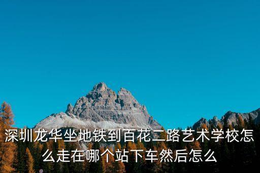 龍華到深圳藝術學校，怎樣從南山去深圳藝術學校