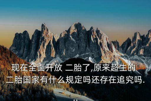 現在全面開放 二胎了,原來超生的 二胎國家有什么規定嗎還存在追究嗎...