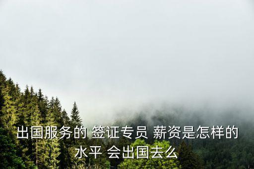 出國服務的 簽證專員 薪資是怎樣的水平 會出國去么