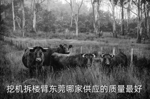 東莞拆除巖石臂廠家，東莞寮步鎮(zhèn)富竹山志成機(jī)械廠在那個(gè)位置