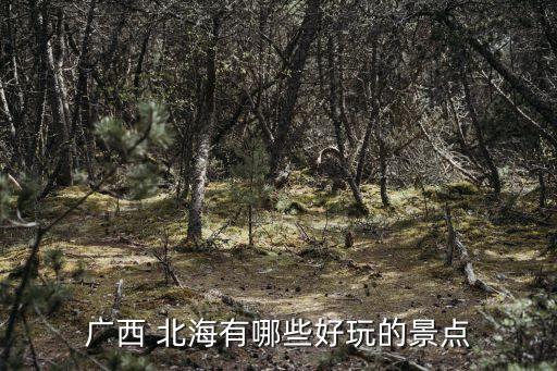 廣西 北海有哪些好玩的景點