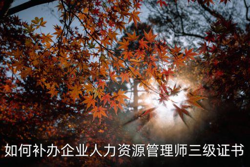 如何補辦企業人力資源管理師三級證書