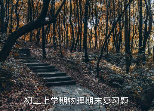 初二上學(xué)期物理期末復(fù)習(xí)題