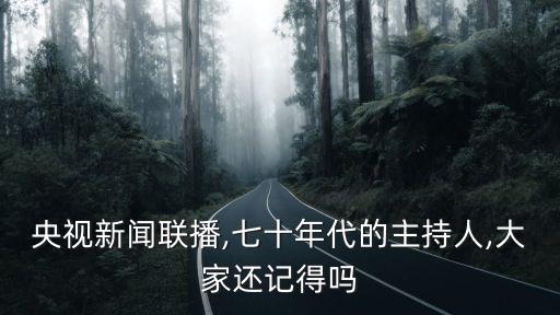 播音員王寧,新聞聯(lián)播播音員王寧