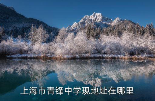 上海市青云中學(xué) 電話，誰(shuí)知道青云中學(xué)換文科理科哪個(gè)東西的 電話