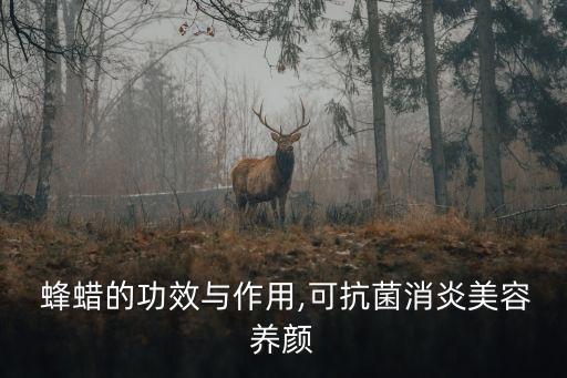 蜂蠟有什么用,饑荒聯機版蜂蠟有什么用
