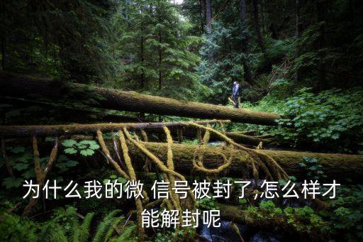 微信號被封,微信被平臺封了怎么辦怎樣解決