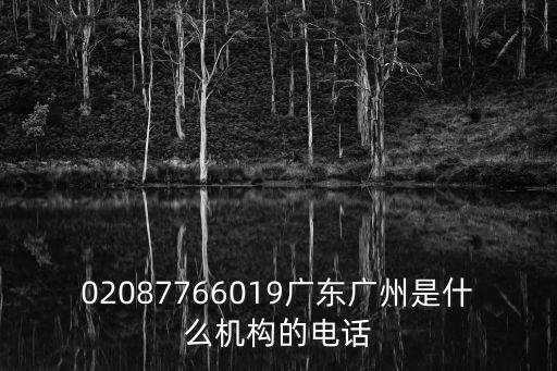 廣州理賢教育聯系電話，02087766019廣東廣州是什么機構的電話
