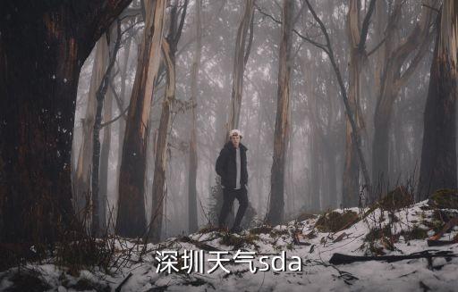 深圳天氣文字預報，深圳最近天氣