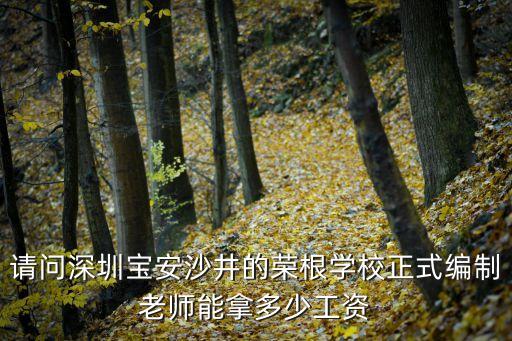 深圳編制班主任工資，請問深圳寶安沙井的榮根學校正式編制老師能拿多少工資