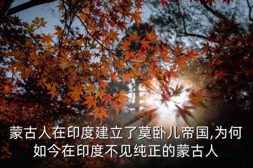 德里蘇丹國(guó)