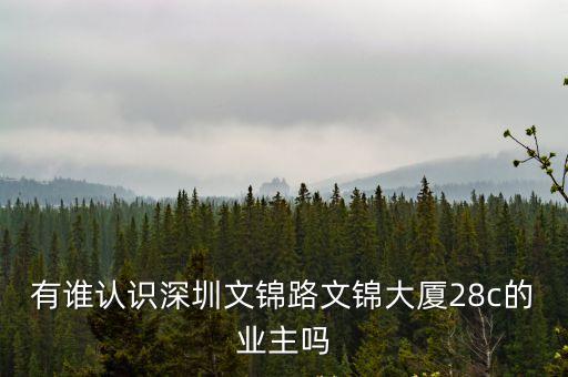有誰認識深圳文錦路文錦大廈28c的業主嗎