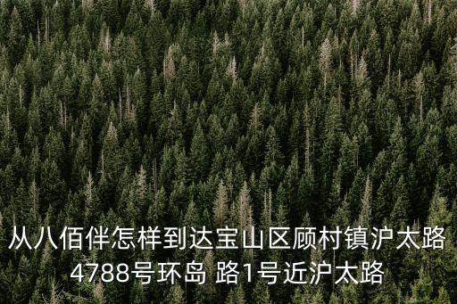 從八佰伴怎樣到達寶山區顧村鎮滬太路4788號環島 路1號近滬太路