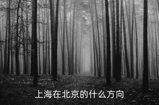 上海在北京的什么方向