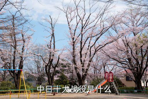湘西會戰,主要戰斗在雪峰山脈附近發生