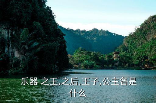  樂器 之王,之后,王子,公主各是什么