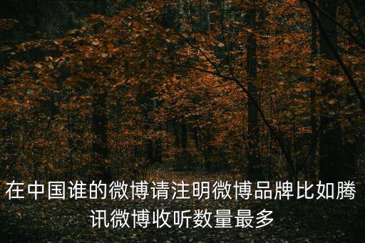 在中國誰的微博請(qǐng)注明微博品牌比如騰訊微博收聽數(shù)量最多