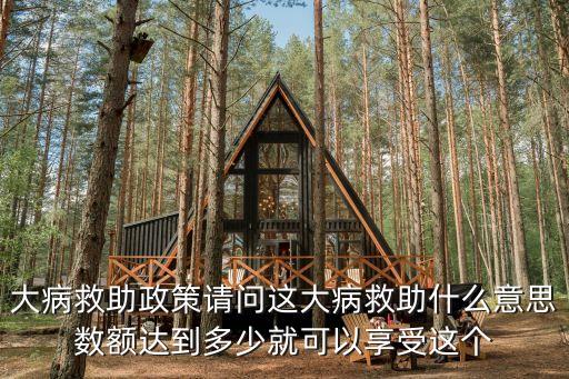 政府大病補助政策深圳，大病補助新政策