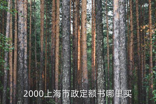2000上海市政定額書哪里買