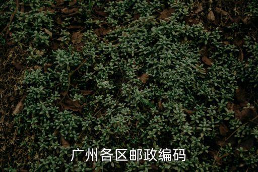 廣州區(qū)8，廣州各區(qū)郵政編碼