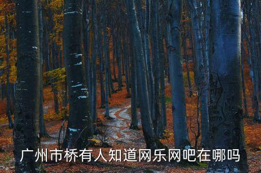 廣州市橋有人知道網樂網吧在哪嗎