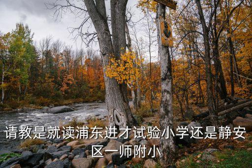請教是就讀浦東進才試驗小學還是靜安區一師附小