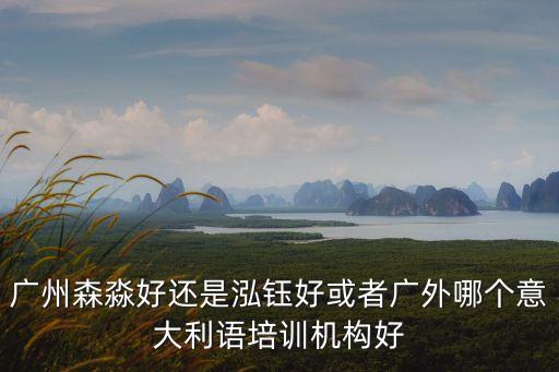 廣州森淼好還是泓鈺好或者廣外哪個意大利語培訓機構好