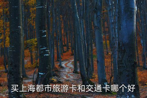 買上海都市旅游卡和交通卡哪個(gè)好